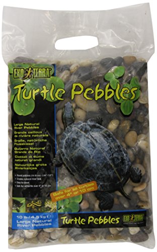Exo Terra Turtle Pebbles, Large - size: Large
