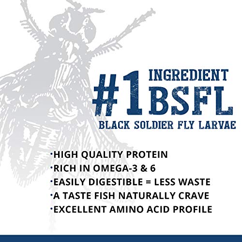 Fluval Bug Bites Tropical Fish Food, Large Granules for Medium to Large Sized Fish, 1.59 oz., A6578 - size: 1.6 Ounce (Pack of 1)
