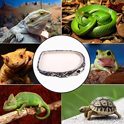 Tfwadmx 2 Pack Reptile Water Bowl, Reptile Feeding Dish, Bearded Dragon Water Dish, Turtle Feeding Bowl for Tortoises, Snakes, Lizards, Geckos, Chameleons - color: Bowl-2Pcs