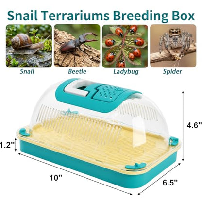 Snail Terrariums Breeding Box, Plastic Habitat Tank Starter Kit for Small Reptile, Rectangle Clear Snail Enclosure with Handle & Air Vents, Feeding Box for Beetles Spider Praying Mantis