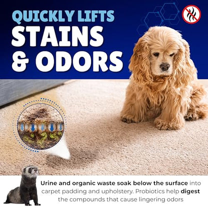Oh Yuk Probiotic Pet Odor Eliminator & Stain Remover, Dog & Cat Urine | Breaks Down Urine, Poop & Vomit at the Source, Removes Stains & Odor, Fresh Ginger Lime Scent, Carpet Safe, 27 oz