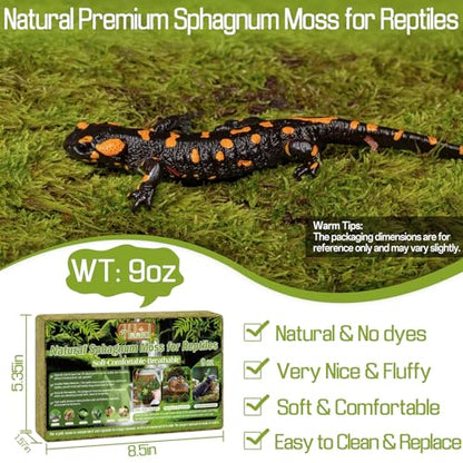 Halatool 9 OZ Sphagnum Moss for Reptiles - Green Terrarium Moss | Expands to 14 QT, Reptile Bedding for Snakes, Tortoises, Geckos & Lizards, Humidity Retention & Temperature Buffering - size: 9OZ