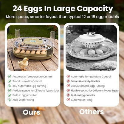 Incubators for Hatching Eggs,24 Eggs Capacity with Automatic Turning, Accurate Temp & Humidity Control, Egg Candler, Air Vent, 360° Viewing for Chicken, Duck, Quail & Goose Eggs