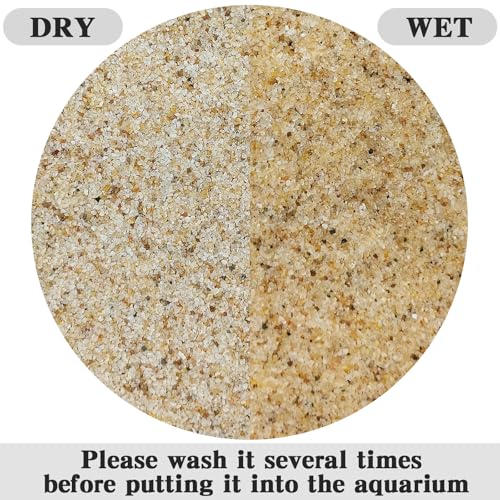 FANTIAN Aquarium Sand, 5 lbs Fish Tank Sand, Beige | Aquarium Substrate Gravel, Safe for Fish Tank, Shrimp, Terrariums, Aquatic, Plant, Fire Pits, Candle, Vase, Crafts - color: Beige, size: 5 LB