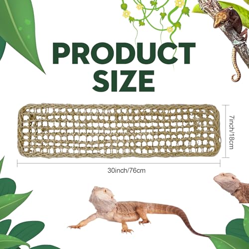 3 Pieces Bearded Dragon Hammock Reptile Hammock Lizard Climbing Lounger with 12 Metal Buckles 12 Suction Cups Tank Accessories Jungle Toys for Hermit Crab Gecko Snake Iguana Amphibian Habitat