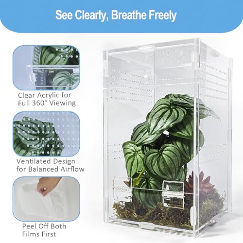 Jumping Spider Enclosure 6”x6”x10”, Arboreal Tarantula Enclosure, Praying Mantis Terrarium Critter Cage for Jumping Spider, Tarantula, Mantis, Snail, Isopods, Beetles, Millipedes - size: Large