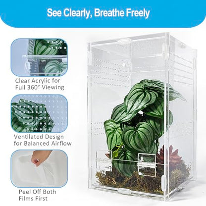 Jumping Spider Enclosure 6”x6”x10”, Arboreal Tarantula Enclosure, Praying Mantis Terrarium Critter Cage for Jumping Spider, Tarantula, Mantis, Snail, Isopods, Beetles, Millipedes - size: Large