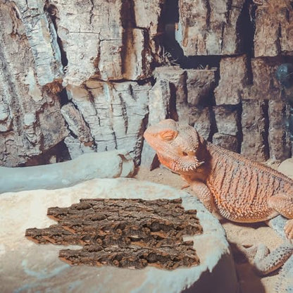Toyvian Natural Cork Bark Flats Rounds, Organic Reptile Hide Basking Platform Bioactive Terrarium Wood Decor for Bearded Dragons Geckos Hermit Crabs
