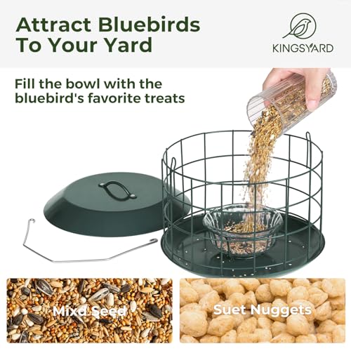 Kingsyard Bluebird Feeders for Outdoors Hanging | Metal Cage Bird Feeder with Tray, Squirrel Proof, for Small wildbirds, Weatherproof, Easy to Refill and Clean, Green - color: Green
