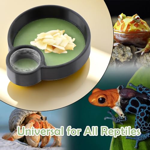2 Pcs Hermit Crab Food Bowl Round Water Bowl Feeding Dish for Hermit Crab Snail Millipede Small Reptiles