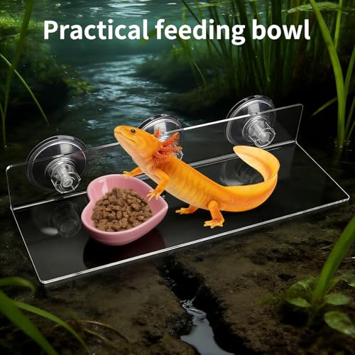 11.8 Inch Axolotl Hammock Ledge with Ceramic Dish and 3 Suction Cups | Secure Wall Mounting Creates a Comfortable Elevated Spot for Resting, Climbing and Feeding in Smooth-Sided Tanks