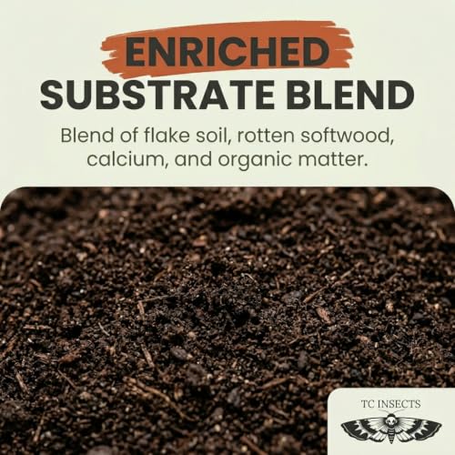 Ultra Isopod Habitat Kit - Rottwood + Flake | Live Isopod Bundle Cleanup Crew | Live Arrival Nationwide!