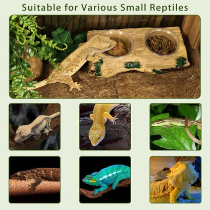 Tfwadmx Magnetic Reptile Feeder Ledge, Gecko Feeder Ledge with 6 Cups Reptile Feeding Bowls Food Dish Water Bowl Tank Accessories for Lizards Chameleons Frog - color: Yellow