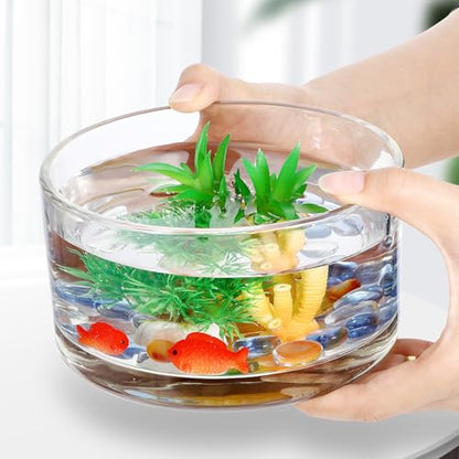 Toddmomy Clear Glass Terrarium Bowl 5.90In Round Glass Flower Pot for Hydroponics Planter Succulents Aquarium Display Home Party Wedding Table Decor