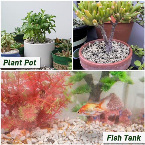 Quibbay 45LB Succulent Rocks, 1/4 Inch Polished Pebbles for Indoor Plants, Decorative River Rocks for Vases, Aquariums, Terrarium, Pea Gravel for Fish Tank, Drainage Rocks for Potted Plants, Grey
