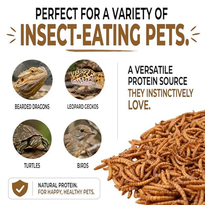 Freeze-Dried Mealworms – High-Protein Treat for Reptiles, Birds & Insect-Eating Pets – 2.6 oz Jar