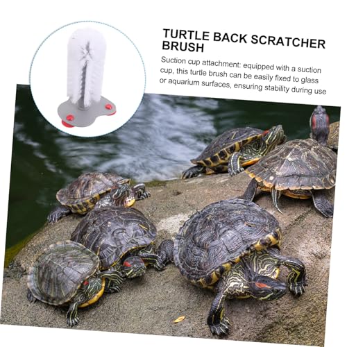 Toddmomy Aquarium Turtle Brush Suction Cup Turtle Shell Scrub Brush Reptile Cleaning Tool