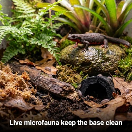 Newt/Salamander Bioactive Kit - 14qt Premium Bioactive Substrate + 4qt Leaf Litter + 4qt Sphagnum + Charcoal Iso-Flats Hide + 25 Dwarf Purple Isopods + 8oz Temperate Springtails