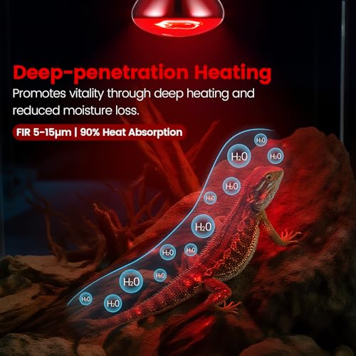 Dual Reptile Lamp Fixture with 100W Daytime Heat & 100W Nighttime Infrared Heat Bulbs, 2 Independent Switches, Reptile Heat Lamp Combo Pack - No UVB - size: ST2