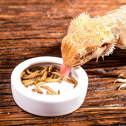OMEM Worm Dish Mini Reptile Food Bowl Ceramics Made Mealworms Bowls Anti-Escape for Lizard Gecko Leopard Bearded Dragon (S) - size: S