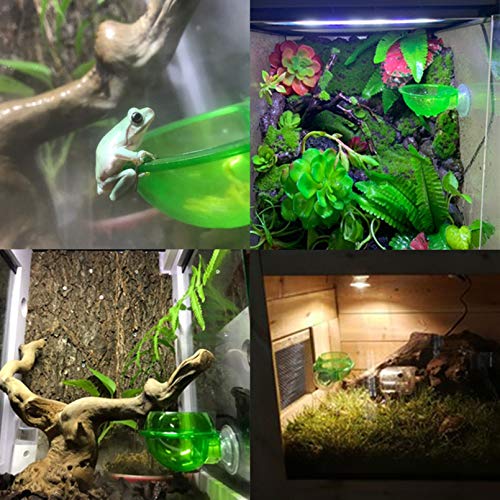 PINVNBY Reptile Suction Cup Feeder,Chameleon Feeding Food Bowl,Translucent Anti Escape Worm Live Fodder Container,Pet Ledge Water Dish Supplies for Lizard Gecko Bearded Dragon(4 Pcs) - size: 【2 PCS】