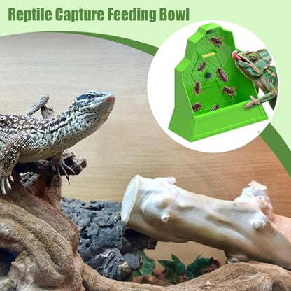 Reptile Feeder Reptile Feeding Dish | Tank Accessories, Anti-Escape Hunting Bowl for Chameleon Frog Snake Spider Amphibian Tortoise Gecko
