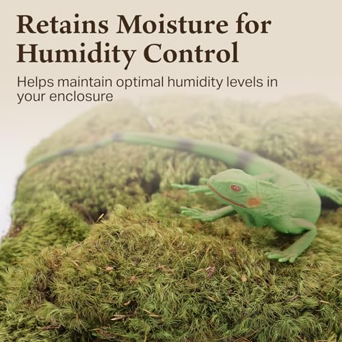 Mood Moss for Terrarium Habitats, Small 2-Pack | Preserved Moss for Reptiles, Amphibians & Invertebrates Terrariums, Humidity Control, Soft, Dye-Free, Family Owned, USA Made - size: Small 2-pack, style: Mood Moss
