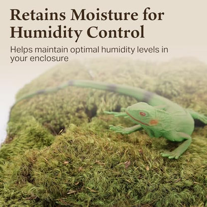 Mood Moss for Terrarium Habitats, Medium 2-Pack | Preserved Moss for Reptiles, Amphibians & Invertebrates Terrariums, Humidity Control, Soft, Dye-Free, Family Owned, USA Made - size: Medium 2-pack, style: Mood Moss