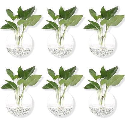 Hanging Wall Planters Pack of 6 Glass Plant Pots Round Wall Vases for Flowers Hanging Propagation Station Glass Plant Holder Wall Terrariums Plant Container
