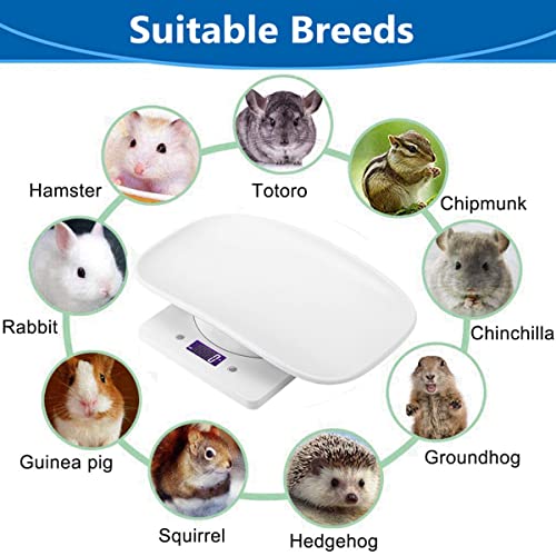 Ferrets Digital Pet Scale Precision LCD Display Small Animal Weight Scale with Removable Tray for Kitten, Rabbit, Guinea Pig, Hedgehog, Hamster, Chick, New Born Pets (White)