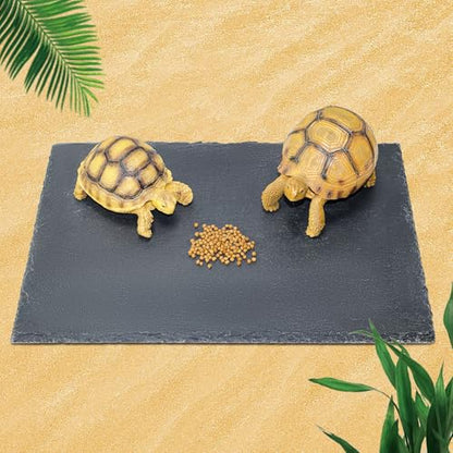 Rock Basking Platform with Bowl & Mat for Reptiles Large | Non-slip base; rough top for claw grinding. Has food bowl & porous surface holds moisture. Fits tortoises, dragons & lizards. - size: Large-Size