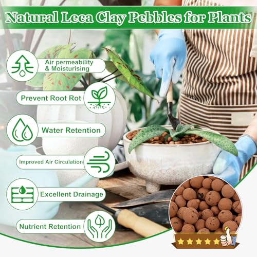2LB Organic Leca Clay Pebbles for Plants, 4-16mm Natural Leca Balls | Reusable, Drainage, Aeration, Moisture Retention, Hydroponic, Lightweight for Orchids, Succulents, Terrarium, Indoor Plants - size: 2LB