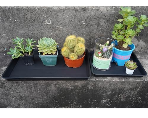VUWEZ Plant Saucer Growing Tray, Seed Starter Tray Rectangular, Heavy Sturdy Plastic Plant Drainage Saucers, Plant Drip Trays for Pots, Seed Starter Growing Trays (11 x 9 inch, 2 Pack) - color: Black, size: 11'' x 9'' x 1.2'' (2 pack)