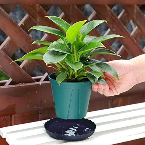 12Pcs Plant Saucer, 6 8 10 Inch Durable Plastic Plant Tray, Black Round Plant Pot Saucers, Drip Tray for Indoor and Outdoor Garden - color: Black (6" 8" 10")