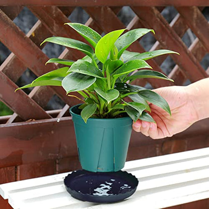 12Pcs Plant Saucer, 6 8 10 Inch Durable Plastic Plant Tray, Black Round Plant Pot Saucers, Drip Tray for Indoor and Outdoor Garden - color: Black (6" 8" 10")
