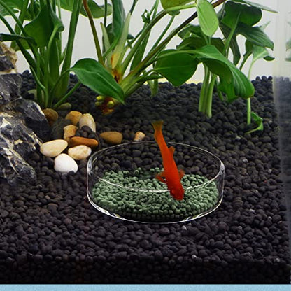 WEAVERBIRD 80mm Aquarium Shrimp Feeder Dish Glass Fish Tank Feeding Bowls Round Clear Dishes Tray - size: 80MM