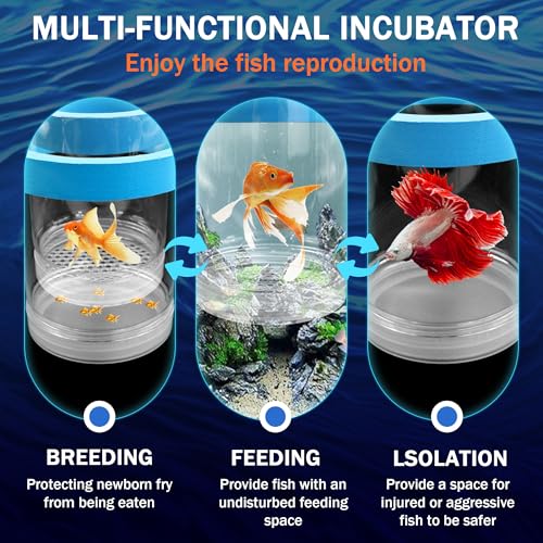 Large Floating Fish Breeding Box, Plastic Clear Breeding Box for Fish Tank | Aquarium Divider Incubator with Suction Cup, Adjustable Isolation Hatchery for Shrimp Guppy