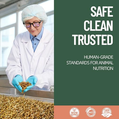 30LB Premium Non-GMO Dried Mealworms - High-Protein Natural Feed & Chicken Treats for Chickens, Ducks, Wild Birds, Quails & Reptiles - Support Egg Production & Feather Growth - size: 30 Pound (Pack of 1)