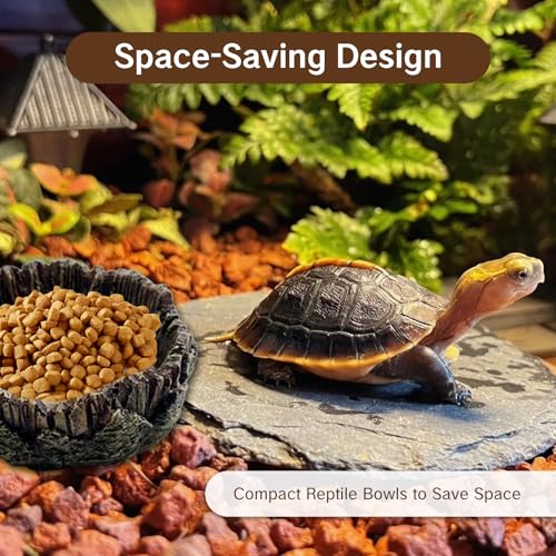 1 Pack Small Reptile Food Dish Resin Rock Worm Water Bowl for Bearded Dragon Leopard Gecko Lizard Hermit Crab Snail Frog Toad Anti Turnover Feeding Accessories Set