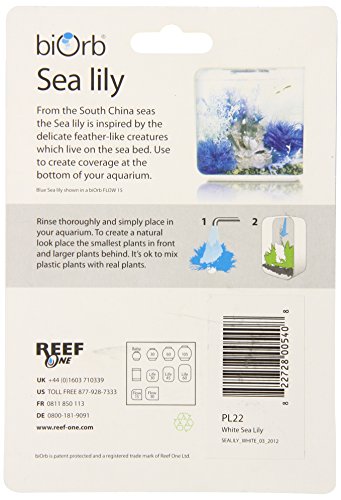 Sea Lily White - color: White, size: 1 Count (Pack of 1)