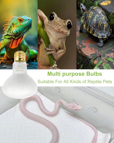 Reptile Heat Lamp Bulbs 100W UVA Basking Bulb for Bearded Dragon 2 Pack | Simulates Natural Sunlight. High-Temp Resistant. Ideal for Bearded Dragon, Lizard, Turtle, Snake.