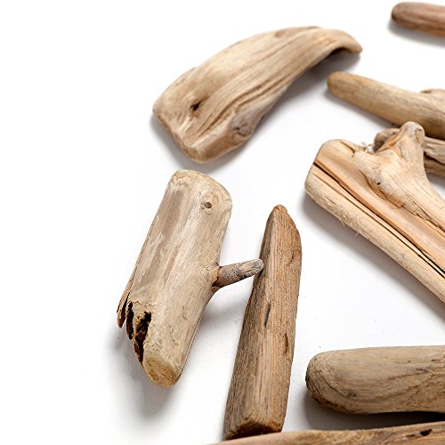 Driftwood Pieces for Crafts Frames Wreath Surf Art Beach Decor (1" - 4", 8OZ, 55pcs)