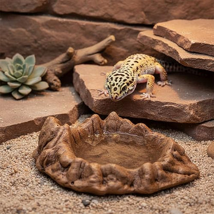 Reptile Water and Food Bowl with Feeding Tweezers Volcanic Rock Style Cement Feeding Dish for Bearded Dragon Leopard Gecko Lizard and Snake Non-Tip Terrarium Decor Landscape Accessory (Brown)