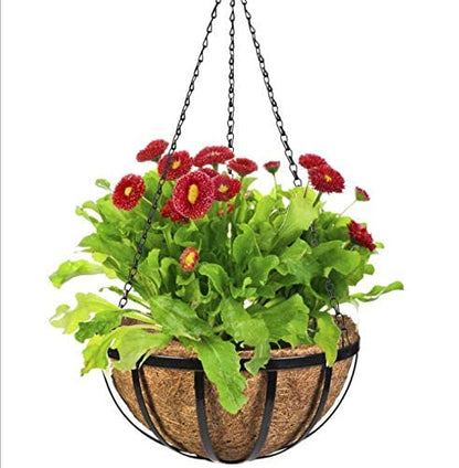 Joen 14 Inch Round Coco Fiber Replacement Liner for Hanging Basket (3 Pieces)