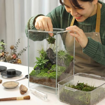Desktop Glass Plant Terrarium with Grow Light for Carnivorous Plants & Moss | L7.8 x W7.8 x H14 in; Timer Auto On/Off; Succulent Display; Miniature Gardening; Indoor Decor; Gift for Plant Lovers.