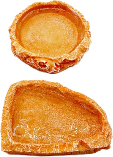 Reptile Water Dish Food Bowl Bearded Dragon Bowls, 2 Pack Reptile Food Bowl for Hermit Crab Bearded Dragon Lizard Gecko Frog Tortoise (Orange, S) - color: orange