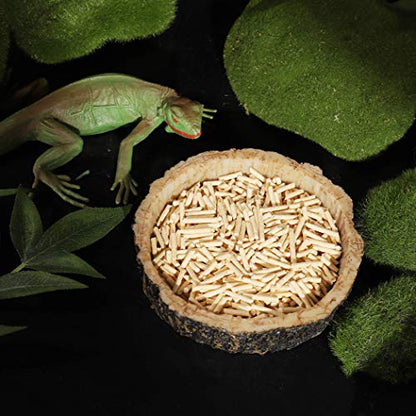 CalPalmy 2 Pack Reptile Water and Food Bowls, Novelty Food Bowl for Lizards, Young Bearded Dragons, Small Snakes and More - Made from BPA-Free Plastic