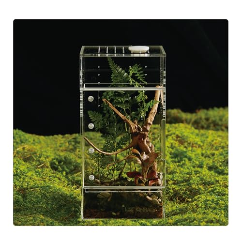 Acrylic Terrarium for Reptiles & Spiders – Small/Medium/Large Leak-Proof Enclosure (Horizontal/Vertical) | Ideal for Tarantulas, Jumping Spiders, Frogs & Geckos(Small, Vertical) - size: Small