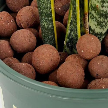 VANZACK 1bag Clay Stones for Decorative Rocks for Hydroponic Plants Bonsai and Terrariums Breathable Potting Material