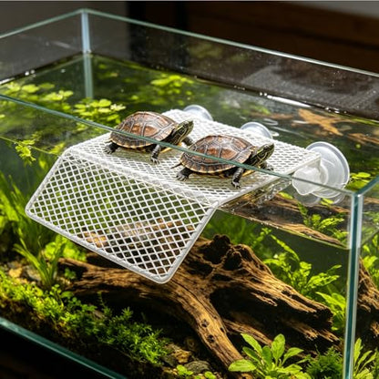 BESPORTBLE Heavy Duty Metal Turtle Climbing Platform Suction Cups for Aquatic Turtles and Reptiles Multipurpose Basking and Resting Ledge Easy Cleaning Design Size 9.25x7.99x2.56in